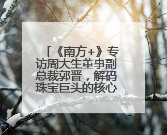 《南方+》专访周大生董事副总裁郭晋，解码珠宝巨头的核心发展优势