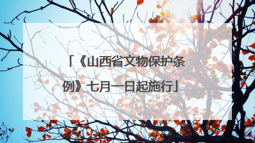 《山西省文物保护条例》七月一日起施行