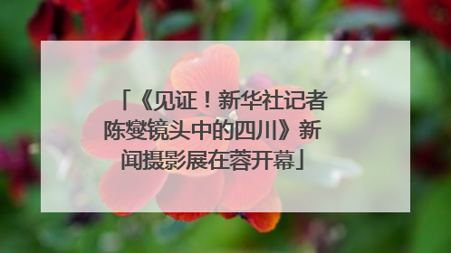 《见证！新华社记者陈燮镜头中的四川》新闻摄影展在蓉开幕