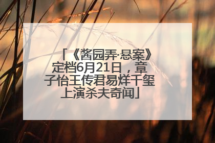 《酱园弄·悬案》定档6月21日，章子怡王传君易烊千玺上演杀夫奇闻