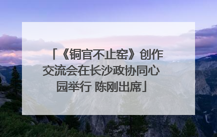 《铜官不止窑》创作交流会在长沙政协同心园举行 陈刚出席