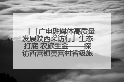 「广电融媒体高质量发展陕西采访行」生态打底 农旅生金——探访西营镇蔓营村省级旅游示范村的振兴密码