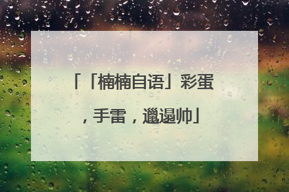 「楠楠自语」彩蛋，手雷，邋遢帅