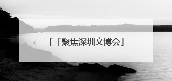 「聚焦深圳文博会」两地“牵手”结硕果 昭通皇菊香飘鹏城