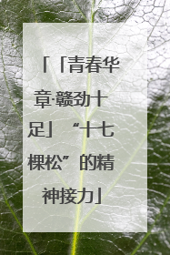 「青春华章·赣劲十足」“十七棵松”的精神接力