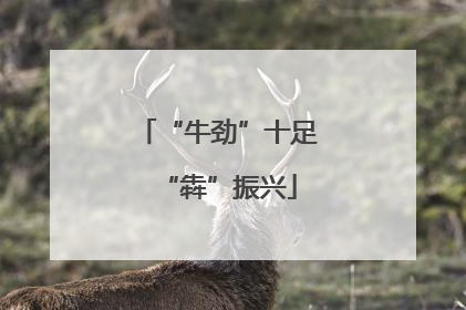 “牛劲”十足“犇”振兴