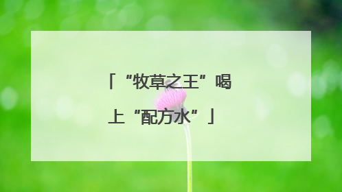 “牧草之王”喝上“配方水”
