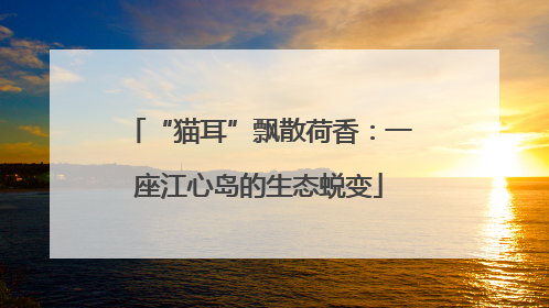 “猫耳”飘散荷香：一座江心岛的生态蜕变