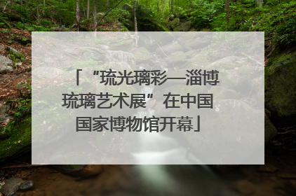 “琉光璃彩—淄博琉璃艺术展”在中国国家博物馆开幕