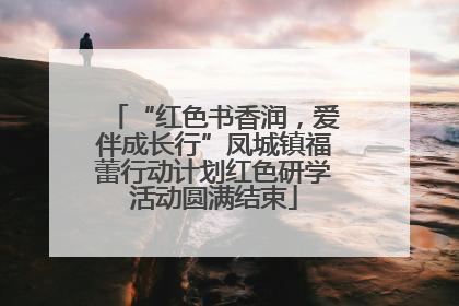 “红色书香润，爱伴成长行”凤城镇福蕾行动计划红色研学活动圆满结束