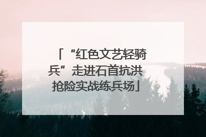 “红色文艺轻骑兵”走进石首抗洪抢险实战练兵场