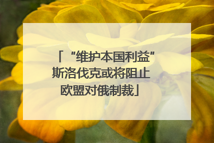 “维护本国利益” 斯洛伐克或将阻止欧盟对俄制裁