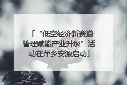 “低空经济新赛道·管理赋能产业升级”活动在萍乡安源启动