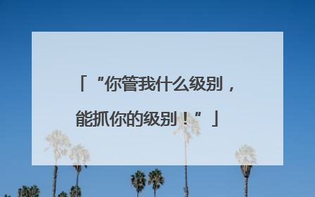 “你管我什么级别，能抓你的级别！”