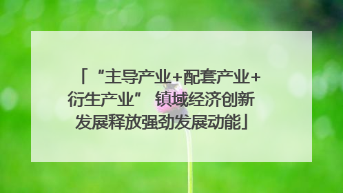 “主导产业+配套产业+衍生产业” 镇域经济创新发展释放强劲发展动能