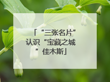 “三张名片”认识“宝藏之城”佳木斯
