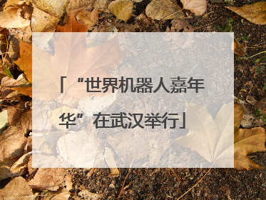 “世界机器人嘉年华”在武汉举行