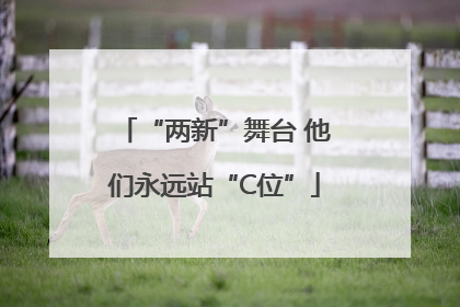“两新”舞台 他们永远站“C位”