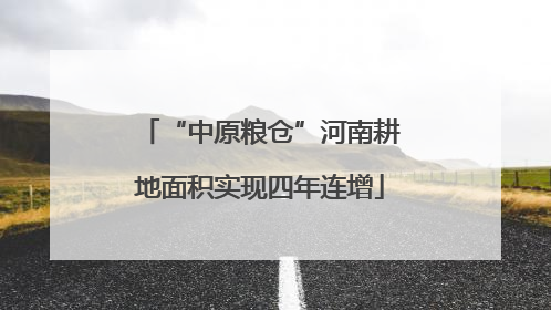 “中原粮仓”河南耕地面积实现四年连增