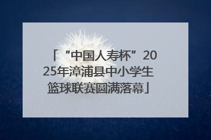 “中国人寿杯”2025年漳浦县中小学生篮球联赛圆满落幕