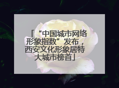 “中国城市网络形象指数”发布，西安文化形象居特大城市榜首