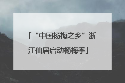 “中国杨梅之乡”浙江仙居启动杨梅季