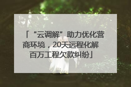 “云调解”助力优化营商环境，20天远程化解百万工程欠款纠纷