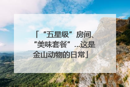 “五星级”房间、“美味套餐”…这是金山动物的日常