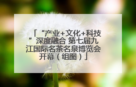 “产业+文化+科技”深度融合 第七届九江国际名茶名泉博览会开幕（组图）
