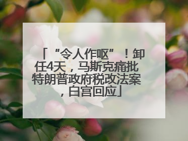 “令人作呕”！卸任4天，马斯克痛批特朗普政府税改法案，白宫回应