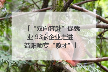 “双向奔赴”促就业 93家企业走进益阳师专“揽才”
