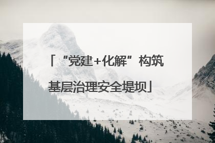 “党建+化解”构筑基层治理安全堤坝