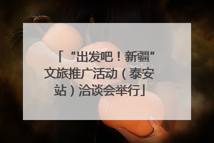 “出发吧！新疆”文旅推广活动（泰安站）洽谈会举行