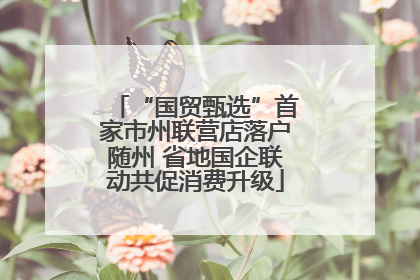 “国贸甄选”首家市州联营店落户随州 省地国企联动共促消费升级