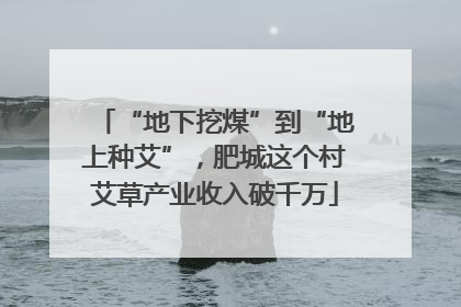 “地下挖煤”到“地上种艾”，肥城这个村艾草产业收入破千万