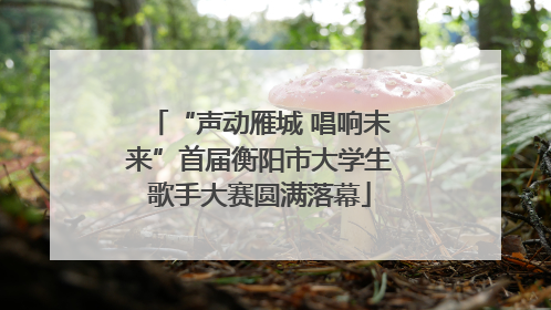 “声动雁城 唱响未来”首届衡阳市大学生歌手大赛圆满落幕