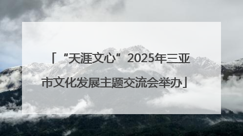 “天涯文心”2025年三亚市文化发展主题交流会举办