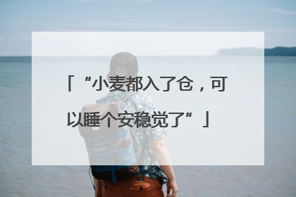 “小麦都入了仓，可以睡个安稳觉了”