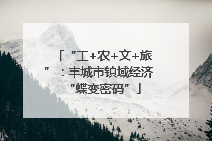 “工+农+文+旅”：丰城市镇域经济“蝶变密码”