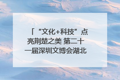 “文化+科技”点亮荆楚之美 第二十一届深圳文博会湖北馆抢“鲜”看