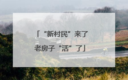 “新村民”来了 老房子“活”了