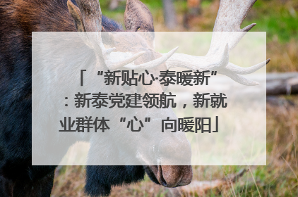 “新贴心·泰暖新”：新泰党建领航，新就业群体“心”向暖阳