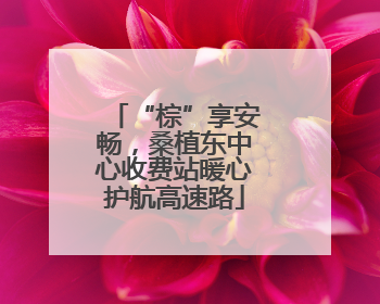 “棕”享安畅，桑植东中心收费站暖心护航高速路