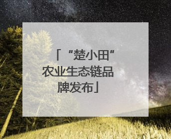 “楚小田”农业生态链品牌发布