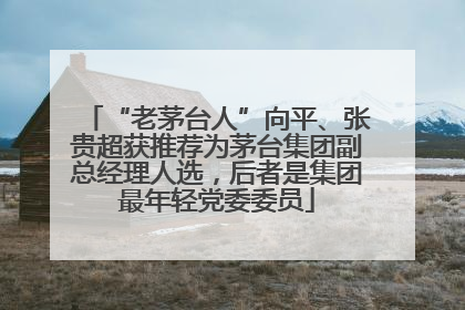 “老茅台人”向平、张贵超获推荐为茅台集团副总经理人选，后者是集团最年轻党委委员