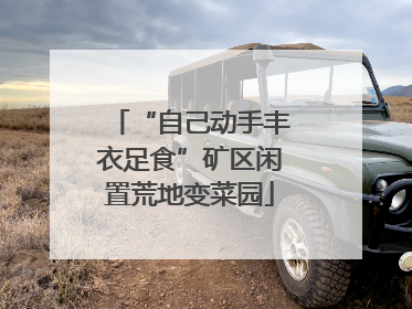 “自己动手丰衣足食”矿区闲置荒地变菜园
