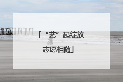 “艺”起绽放 志愿相随