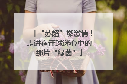 “苏超”燃激情！走进宿迁球迷心中的那片“绿茵”