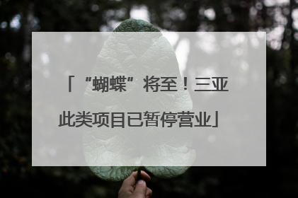 “蝴蝶”将至！三亚此类项目已暂停营业