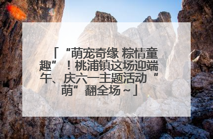 “萌宠奇缘 粽情童趣”！桃浦镇这场迎端午、庆六一主题活动“萌”翻全场～